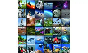 TTS Beebot / Bluebot Tapis Photos Découvertes livraison gratuite