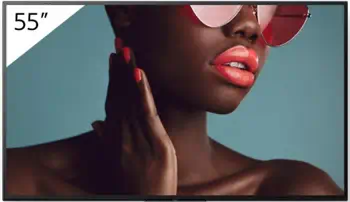 FW-55BZ40L meilleur prix