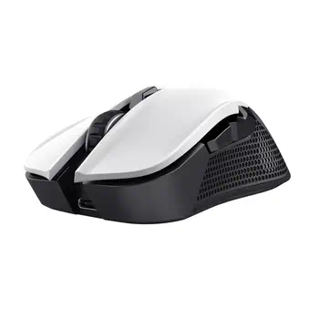 Souris Trust 24889 comparaison