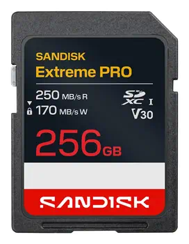 SDSDXXJ-256G-GSCIN offre